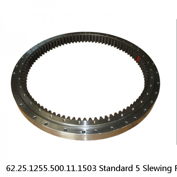 62.25.1255.500.11.1503 Standard 5 Slewing Ring Bearings