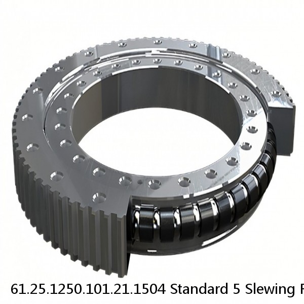 61.25.1250.101.21.1504 Standard 5 Slewing Ring Bearings