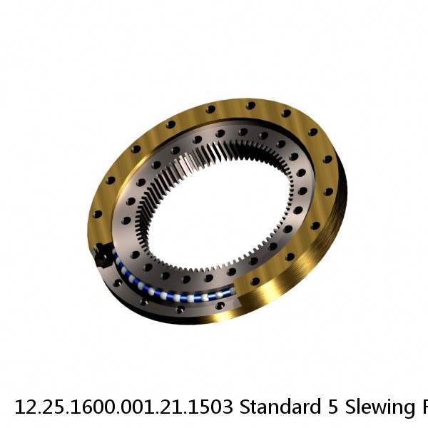 12.25.1600.001.21.1503 Standard 5 Slewing Ring Bearings