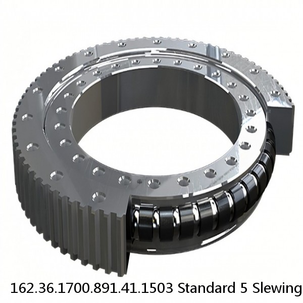 162.36.1700.891.41.1503 Standard 5 Slewing Ring Bearings