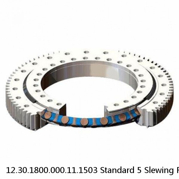 12.30.1800.000.11.1503 Standard 5 Slewing Ring Bearings