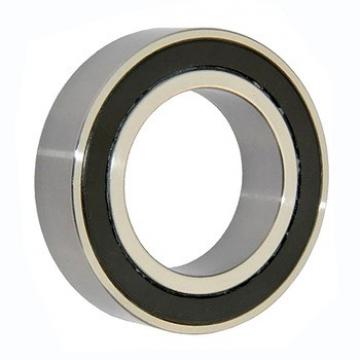 Auto/Motor/Machine Parts Cylindrical Roller Bearing Nu207 Nu208 Nu209 Ecp