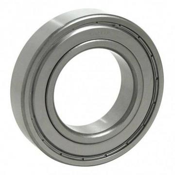 Inch Series Nu Type Double Row Cylindrical Roller Bearing