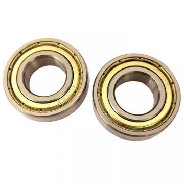 Nylon Cage Hybrid Ceramic Si3n4 Ball Bearing Open Type 636-2RS