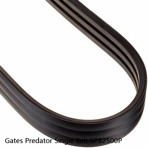 Gates Predator Single Belt SPB2500P 