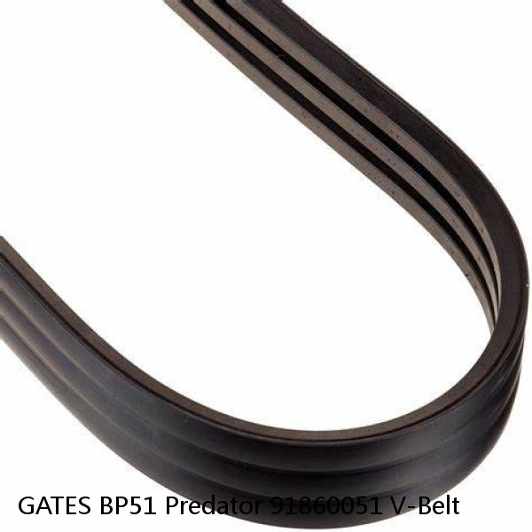 GATES BP51 Predator 91860051 V-Belt