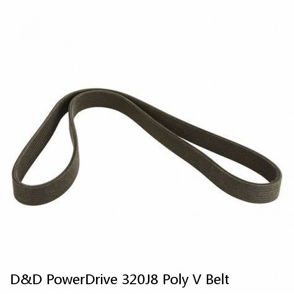 D&D PowerDrive 320J8 Poly V Belt