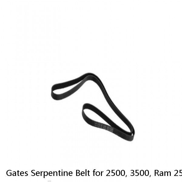 Gates Serpentine Belt for 2500, 3500, Ram 2500, Ram 3500 K081264