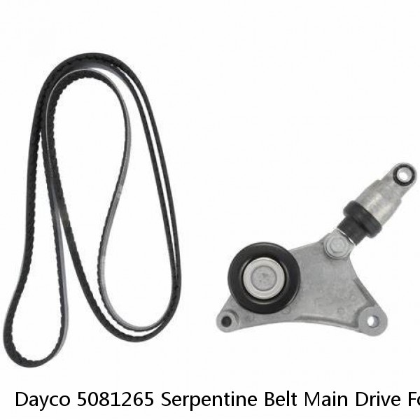 Dayco 5081265 Serpentine Belt Main Drive For 94-04 3800 4600 4700 4700LP 4700LPX