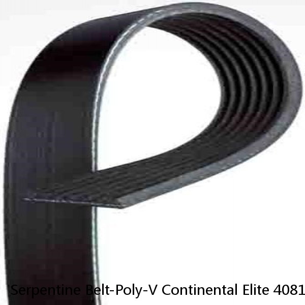 Serpentine Belt-Poly-V Continental Elite 4081265F