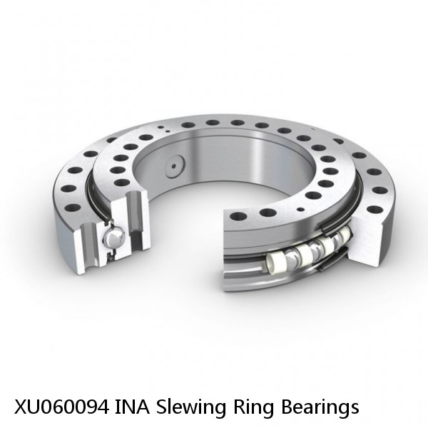 XU060094 INA Slewing Ring Bearings