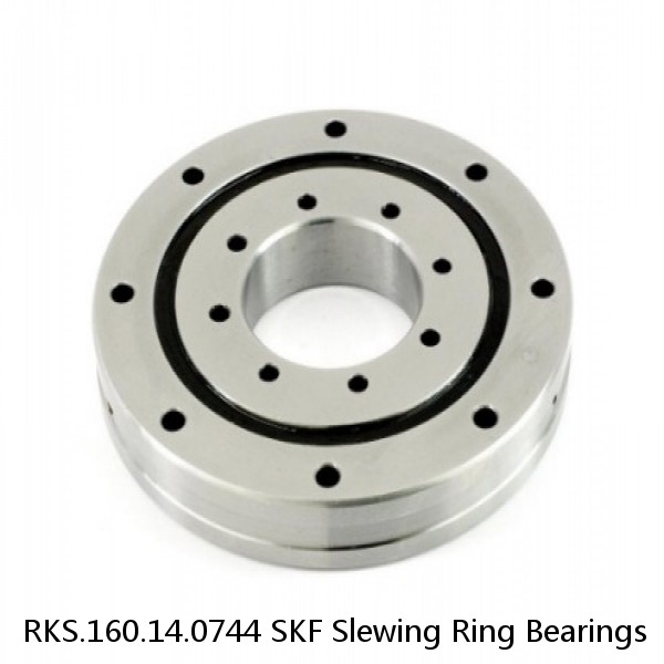 RKS.160.14.0744 SKF Slewing Ring Bearings