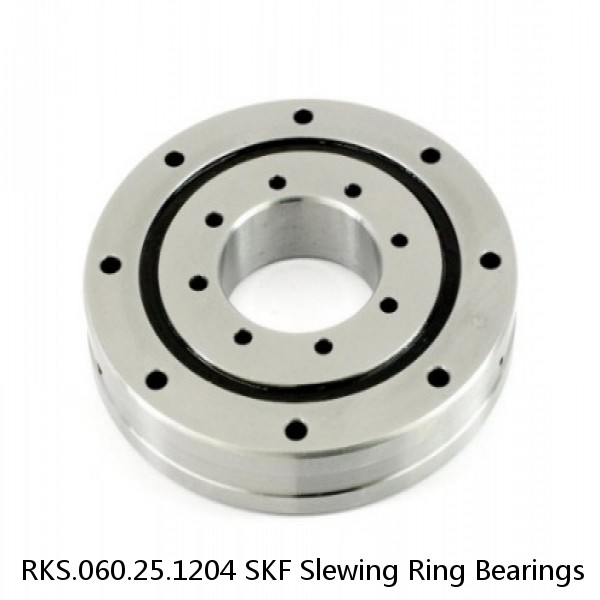 RKS.060.25.1204 SKF Slewing Ring Bearings