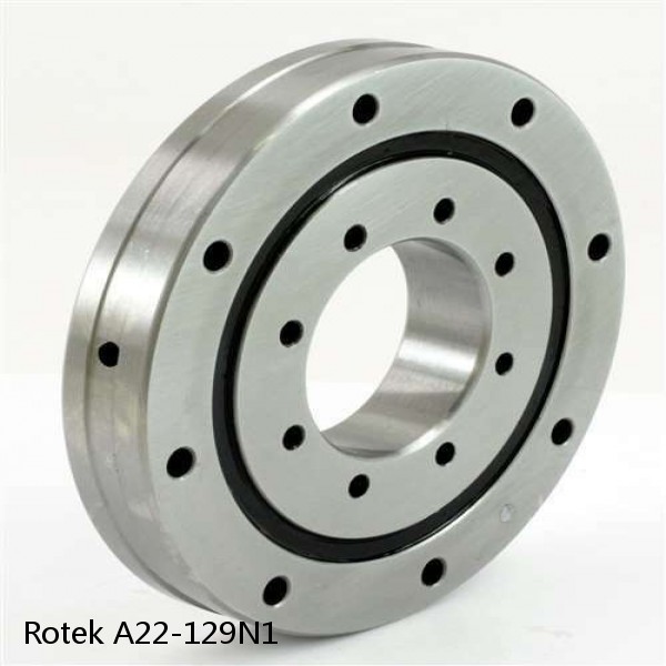 A22-129N1 Rotek Slewing Ring Bearings