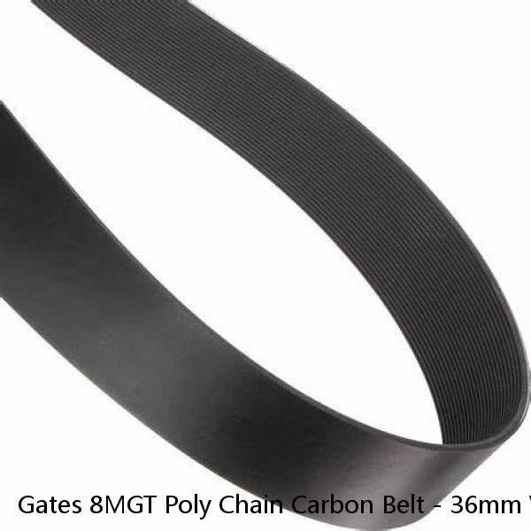 Gates 8MGT Poly Chain Carbon Belt - 36mm Width - 8mm Pitch - Choose Your Length 