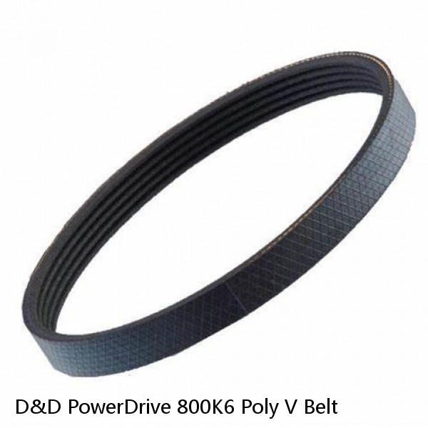 D&D PowerDrive 800K6 Poly V Belt