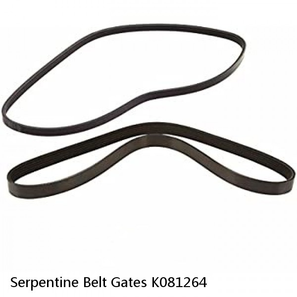 Serpentine Belt Gates K081264