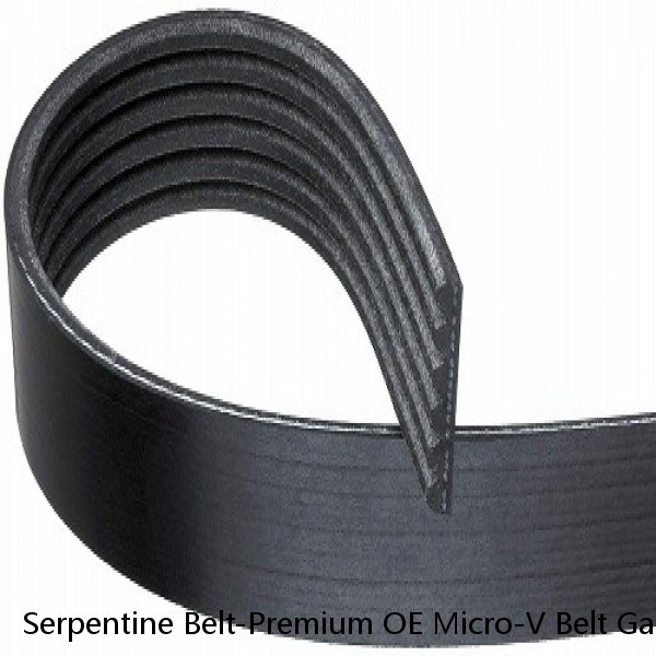 Serpentine Belt-Premium OE Micro-V Belt Gates K081264