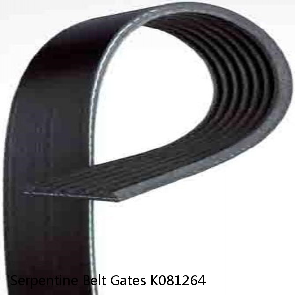 Serpentine Belt Gates K081264